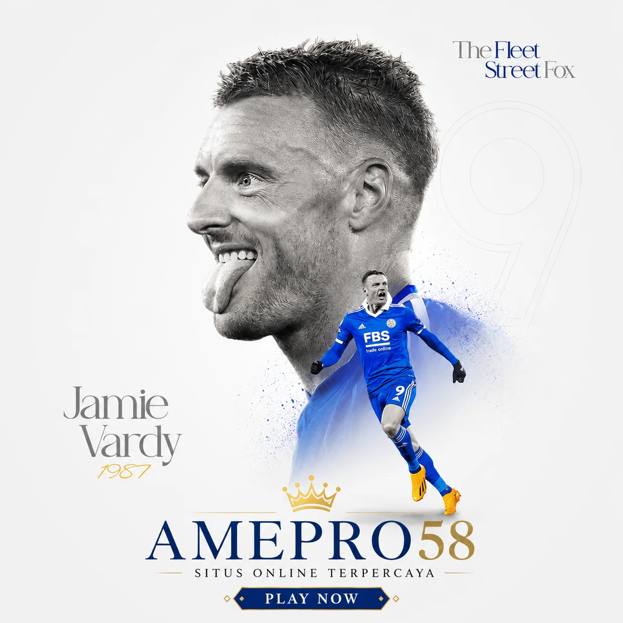 AMEPRO58